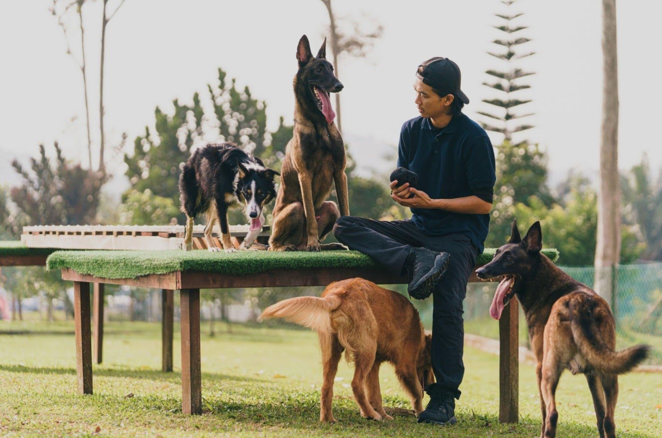 How to Find Out Who Called Animal Control on You? 2 Find Out Who Called Animal Control on You